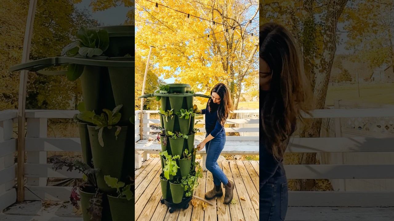 Growing 30 plants in 2 square ft of space #gardeningvideos #containergardening #verticalgardening