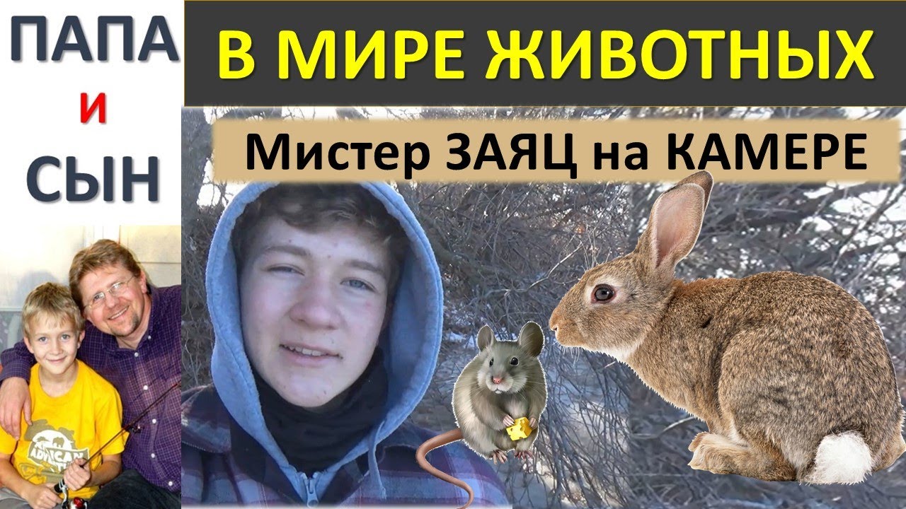 Скрытая камера. Мистер ЗАЯЦ и МЫШКА. Вова лесная камера. Папа и Сын. Алексей и Вова Савченко.