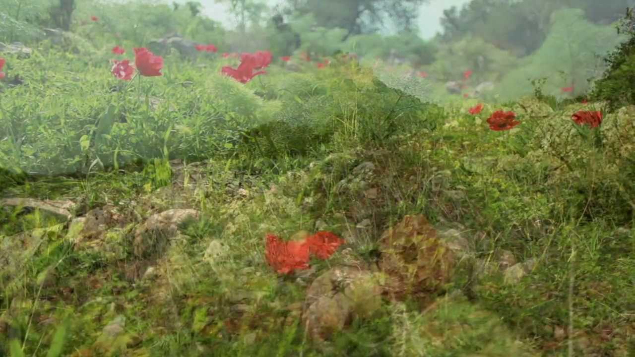 Iyanla Vanzant Meditation Series