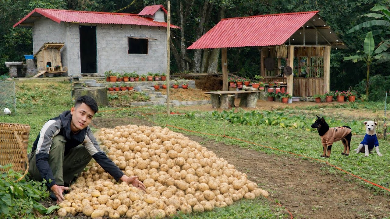 From a Rural Root to a Delicious Meal | A CEO Harvests, Sells at the Market & Builds a New Farm.