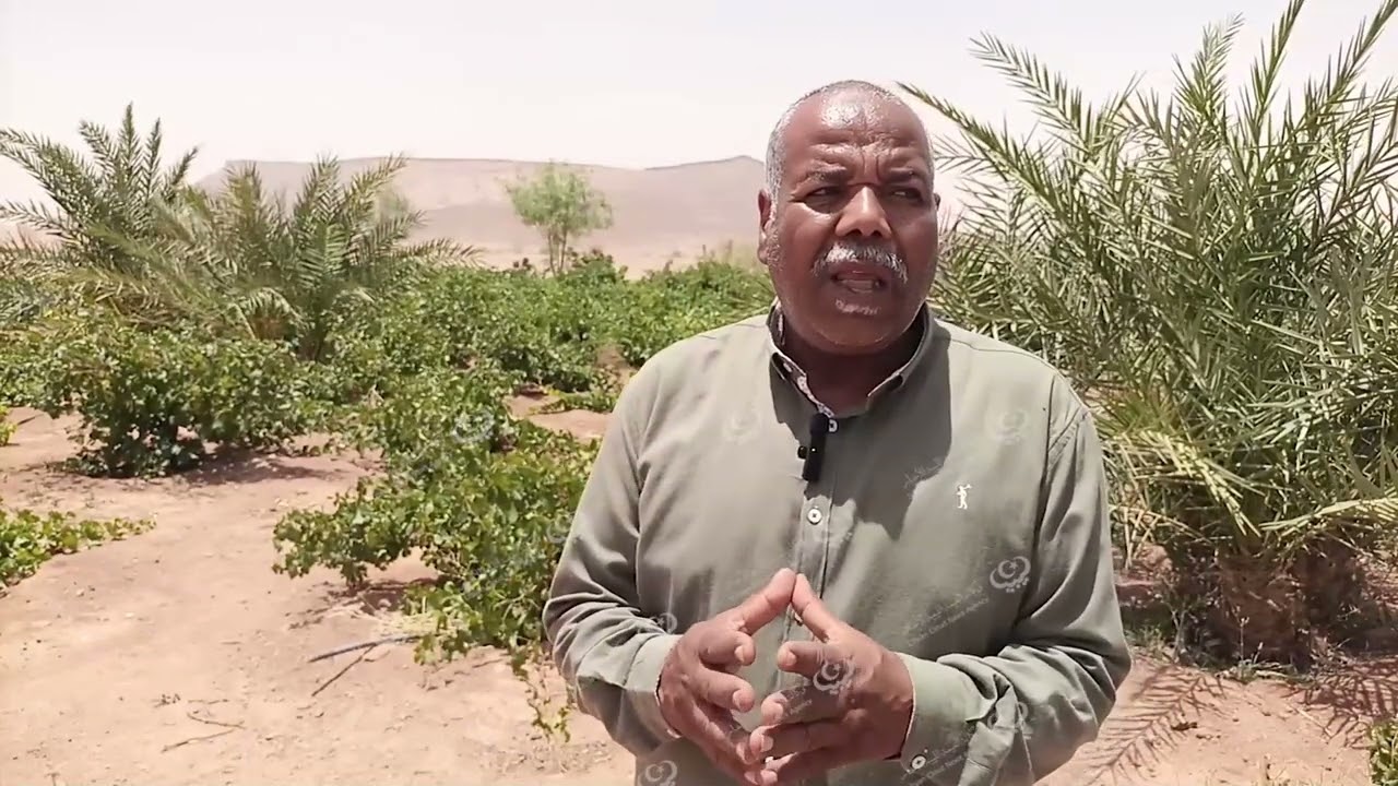 مزارع ينشئ مشروعه الزراعي الصغير لدعم المنتوج المحلي في أوباري. LCNA