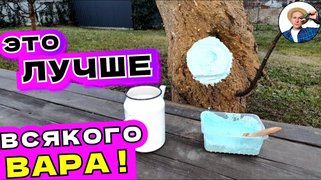 Идеальная Замазка для Деревьев: Простой и Надежный Рецепт!