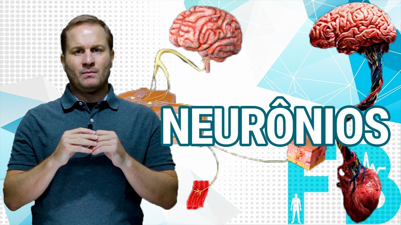 Neur&ocirc;nios