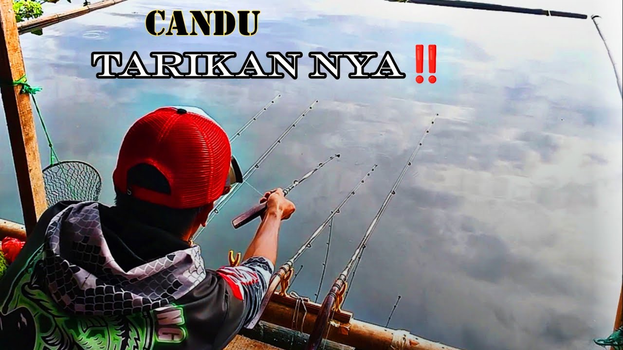 Spot mancing sarang ikan besar2‼️Mancing Cirata Terbaru