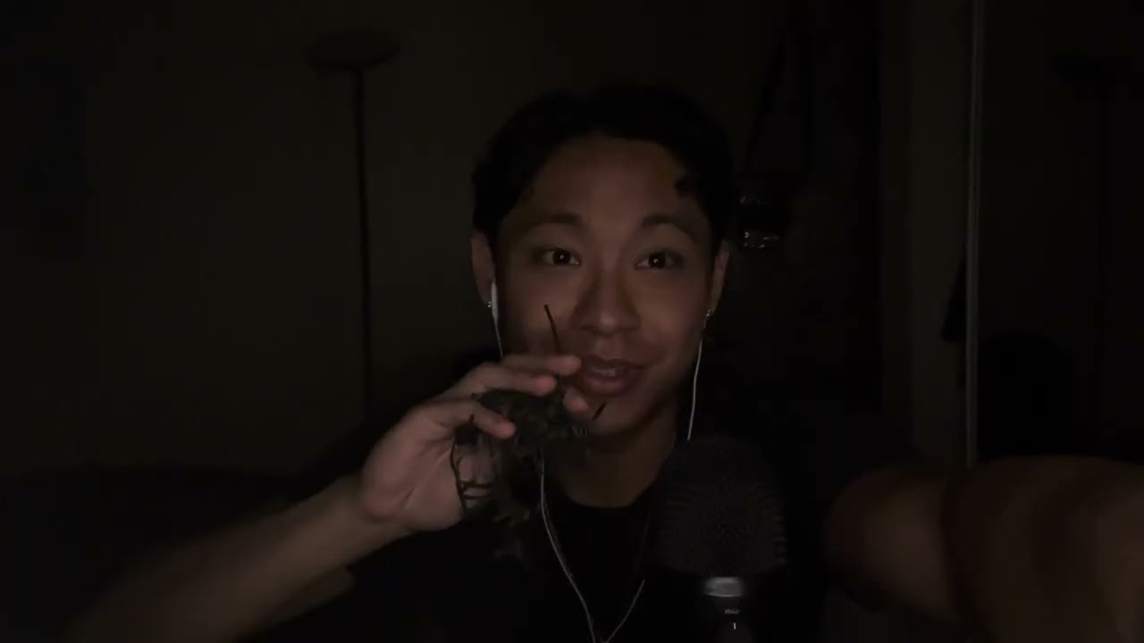 ASMR To Cure Your Tingle Immunity