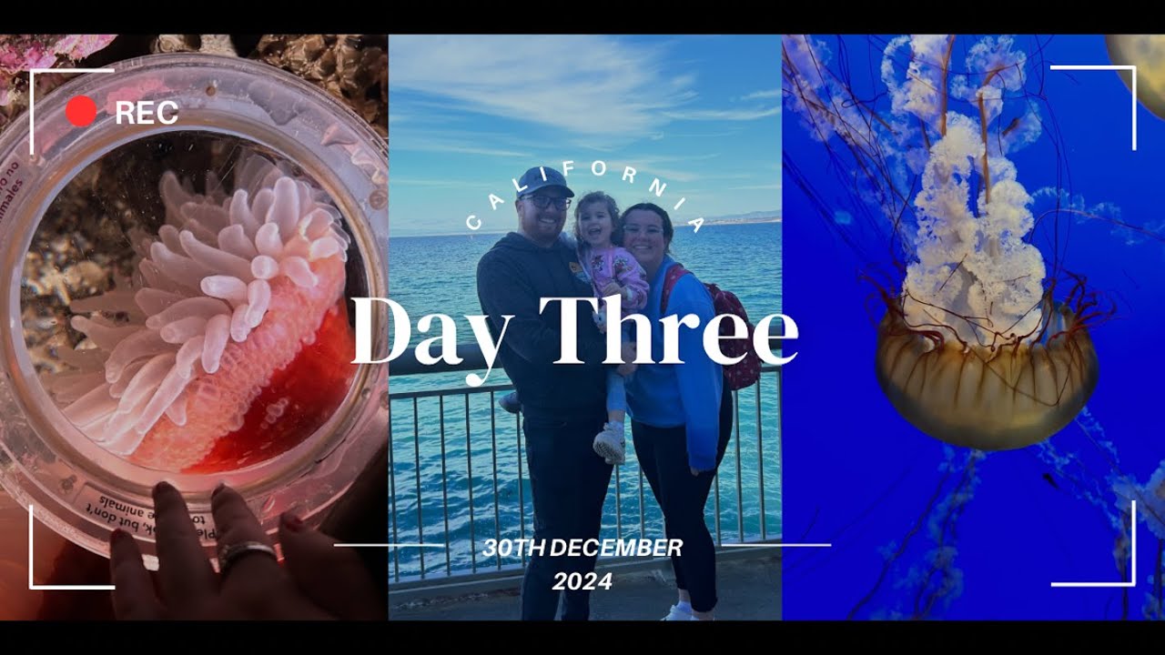 California Day Three - Monterey Bay Aquarium