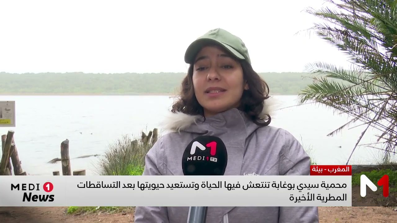 محمية سيدي بوغابة تنتعش فيها الحياة وتستعيد حيويتها بعد التساقطات المطرية الأخيرة