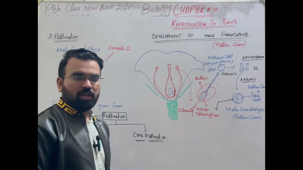 Development of Male Gametophyte & Pollination |Lec #8 |Biology Chapter 10 |9th Class | New Book 2025