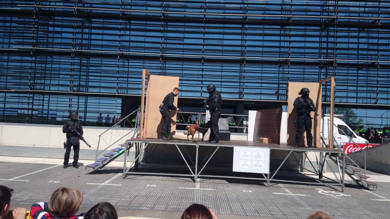 Demostració dels GEI i CANINA Mossos d'Esquadra 2016