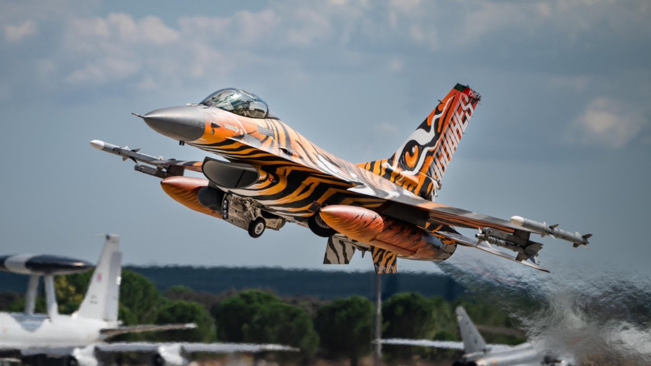 NATO Tiger Meet 2025 | Истребители в специальных «тигриных» раскрасках