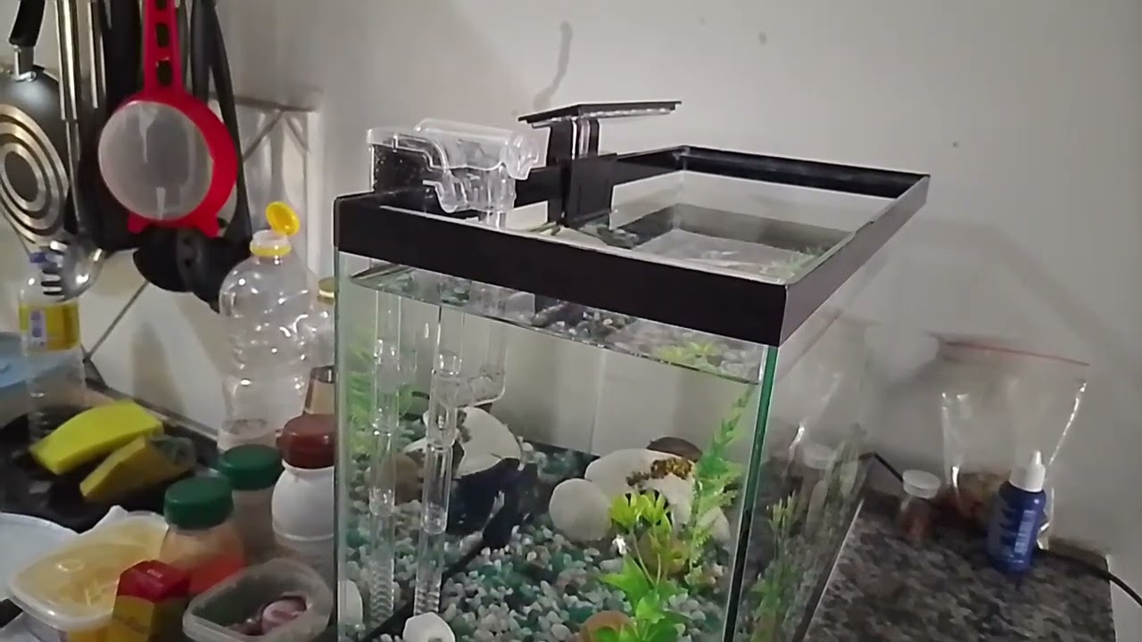 AQUATANK MINI AQUA FILTER  EXTERNO COMO MONTAR.