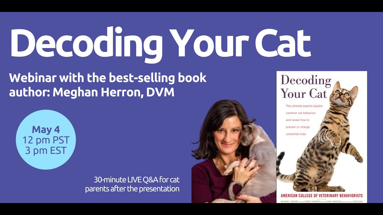 Decoding Your Cat with Dr. Meghan Herron