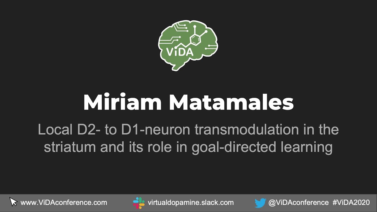 Miriam Matamales - Local D2- to D1-neuron transmodulation in the striatum