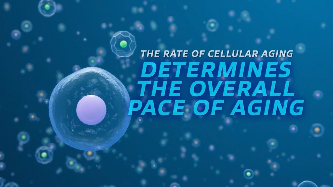 Everything You Need To Know About Cellular Health | Nutrilite AmCELL&trade;