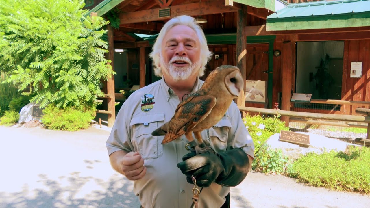 Walk on the Wild Side with KTVL - Barn Owl Meet and Greet