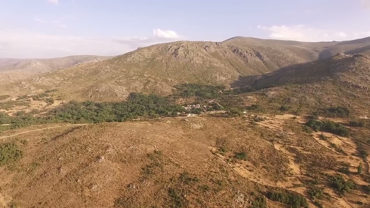 EL GALGO DE SAN ROQUE 2022 (Pradosegar)