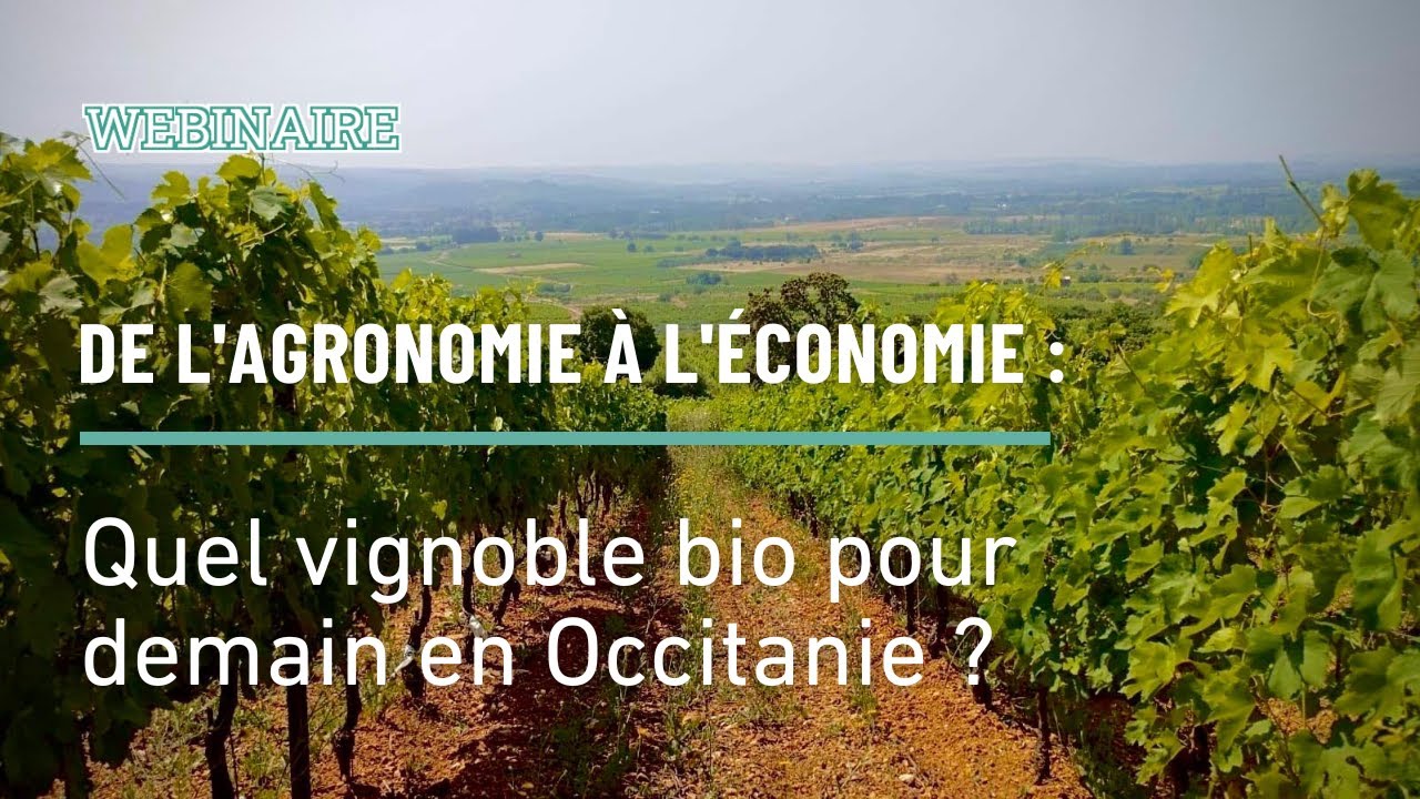 De l'agronomie à l'économie : Quel vignoble bio pour demain en Occitanie ?