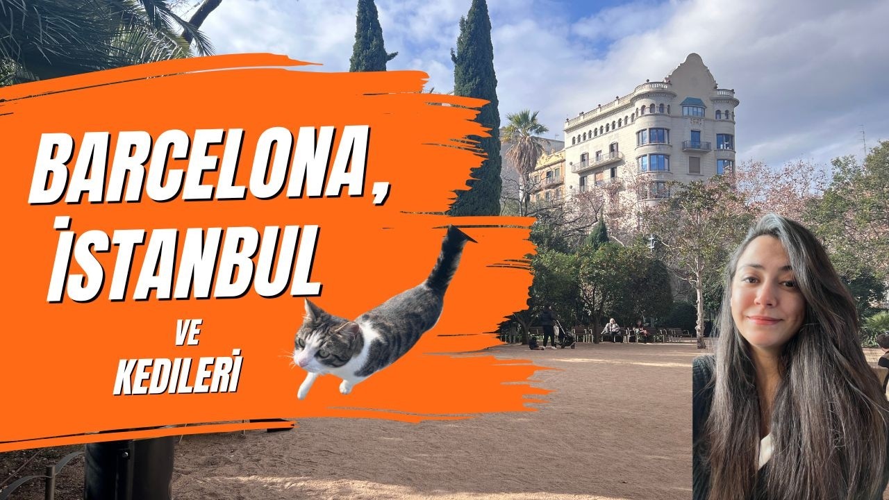 Graffiti şehri Barcelona 👾 & Kedilerin Şehri İstanbul 😻