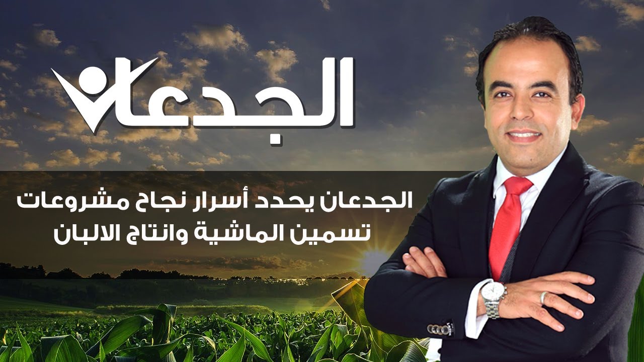الجدعان يحدد أسرار نجاح مشروعات تسمين الماشية وانتاج الالبان