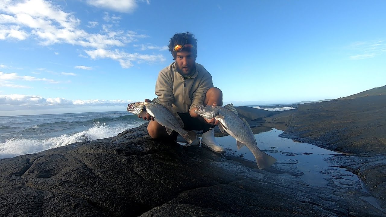 Kei Mouth Kob on Paddle Tail while walking Sjambok