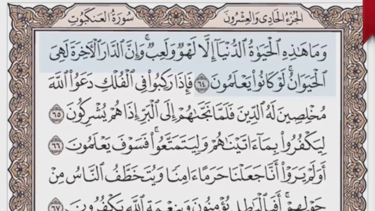 القرآن الكريم بالصفحات صوت وصورة ص/ 404 الشيخ محمود خليل الحصري بمد المنفصل