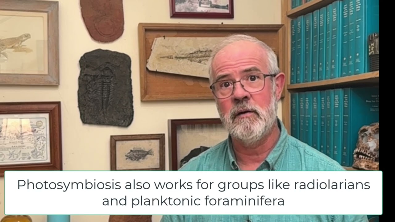 V55 The Mesozoic Plankton Revolution
