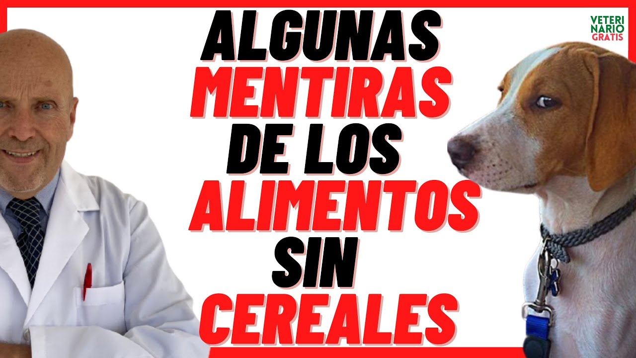 Algunas 🔴 MENTIRAS de los  ALIMENTOS (Piensos o Croquetas) SIN CEREALES 🔴 BUENOS para PERROS. 🤑