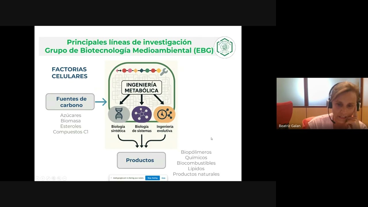 Webinar 6 Grupo BBB SEM Beatriz Galán