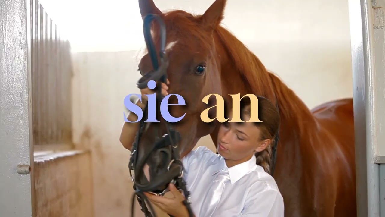 Bevor wir fliegen 