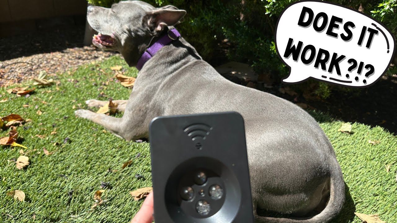 Ultrasonic Dog Barking Deterrent Devices , Auto Barking Control Devices with 3 Modes Review