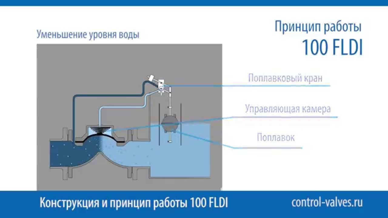 100 FLDI Dorot