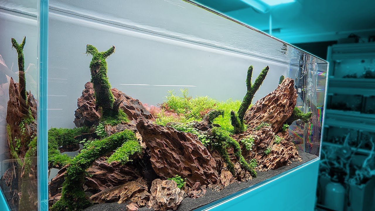 120P | ISLAND STYLE
