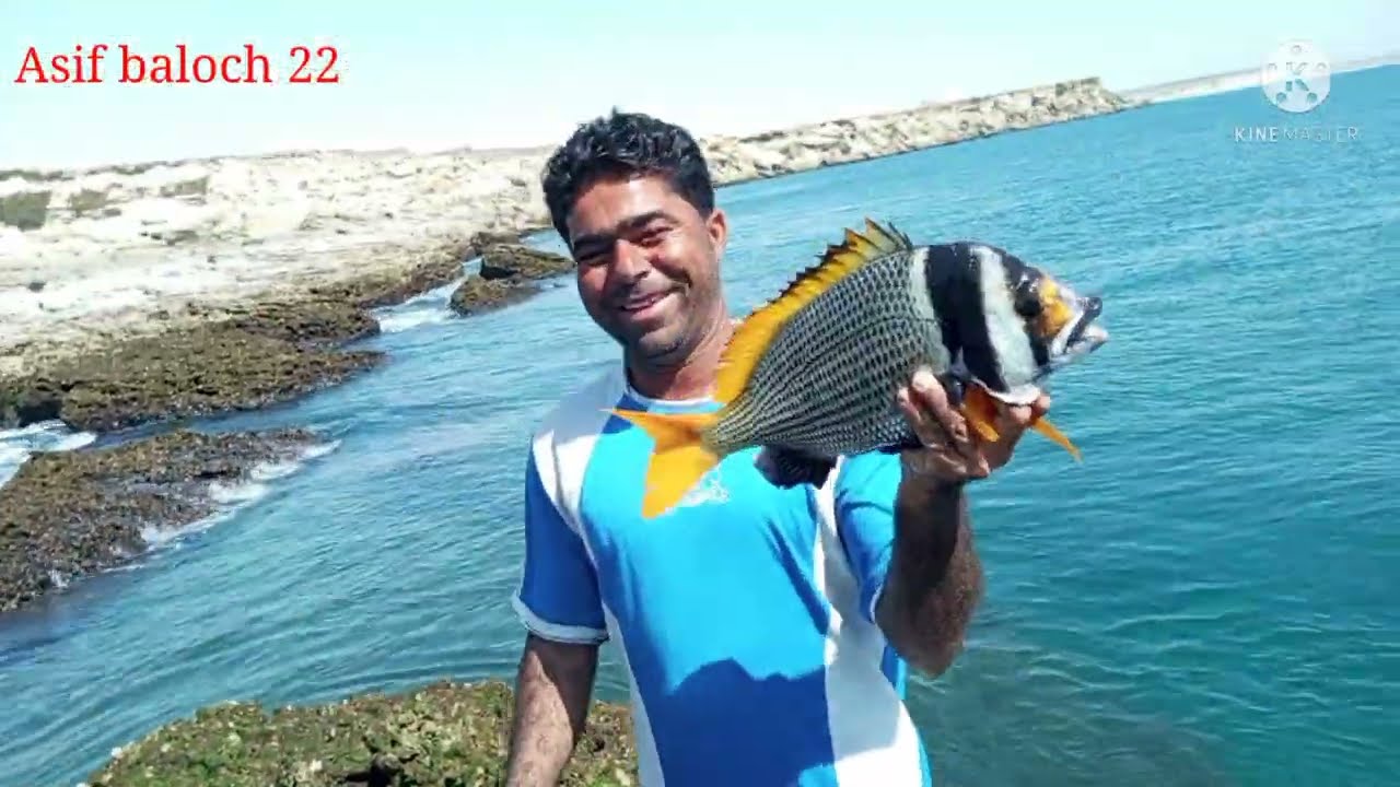 hunting uneique captin fish asif baloch #gawadar #balochistan #jiwani #hand hunting fishing...