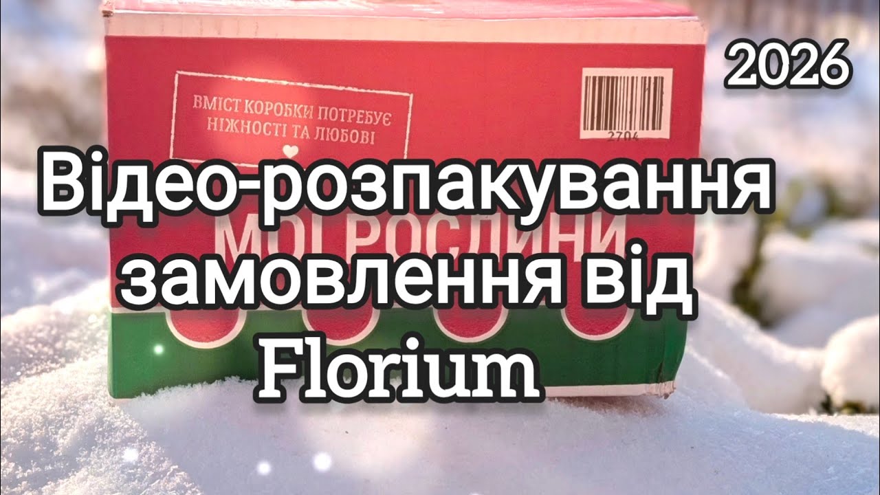 Відео-розпакування замовлення від інтернет-магазину Florium 🌷🌷🌷