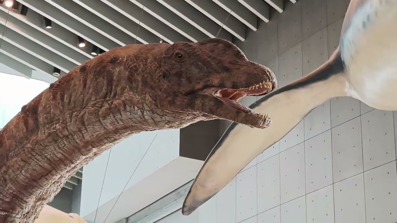 Shanghai Natural History Museum 4K