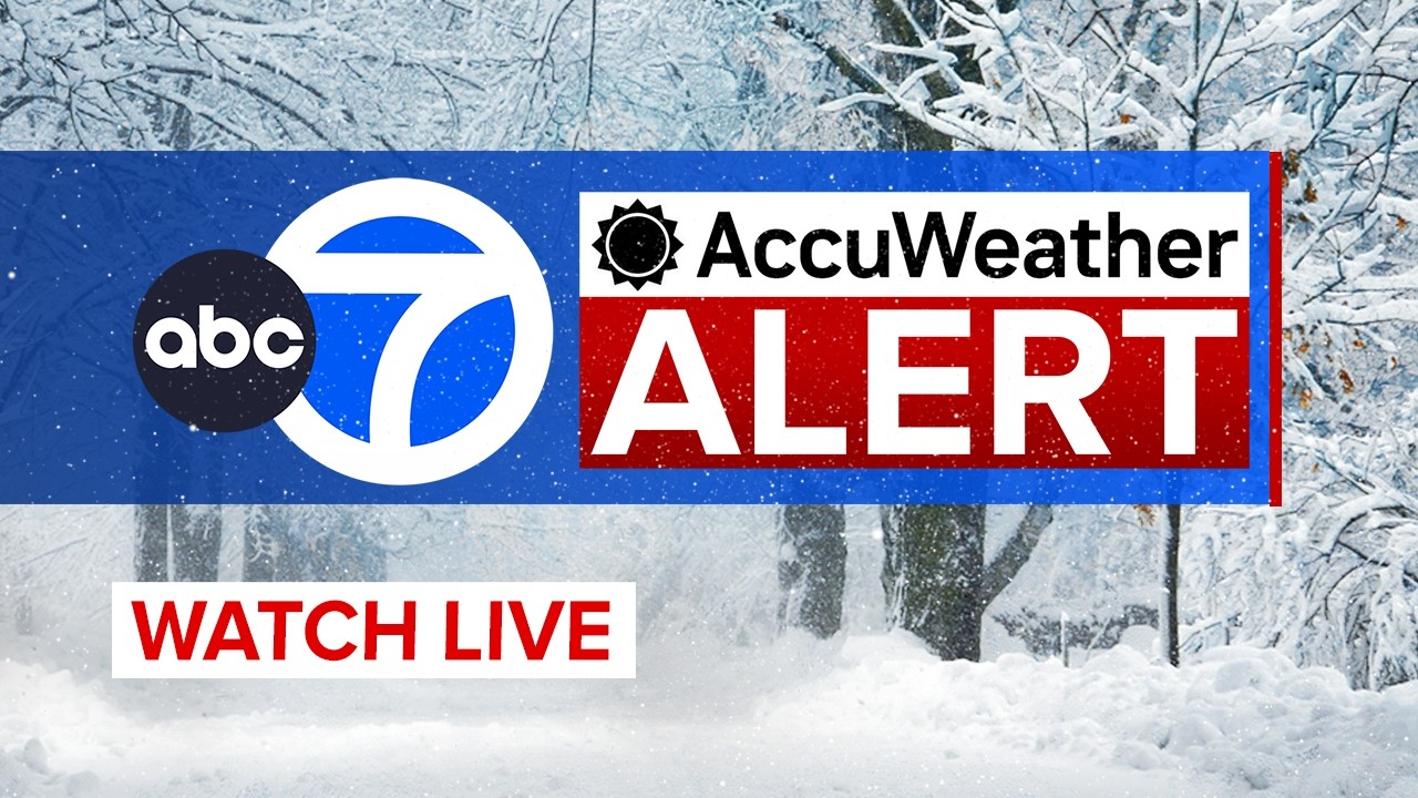 LIVE | PSE&G officials hold news conference to give update on winter storm response