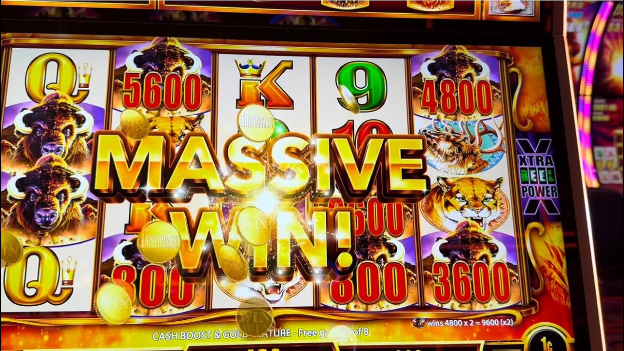 MASSIVE BONUS WINS ON BUFFALO GOLD CASH COLLECTION!