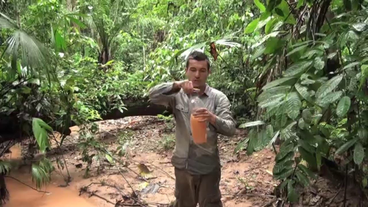 BOLIVIE : trek de SURVIE en AMAZONIE -2- dormir avec une averse tropicale