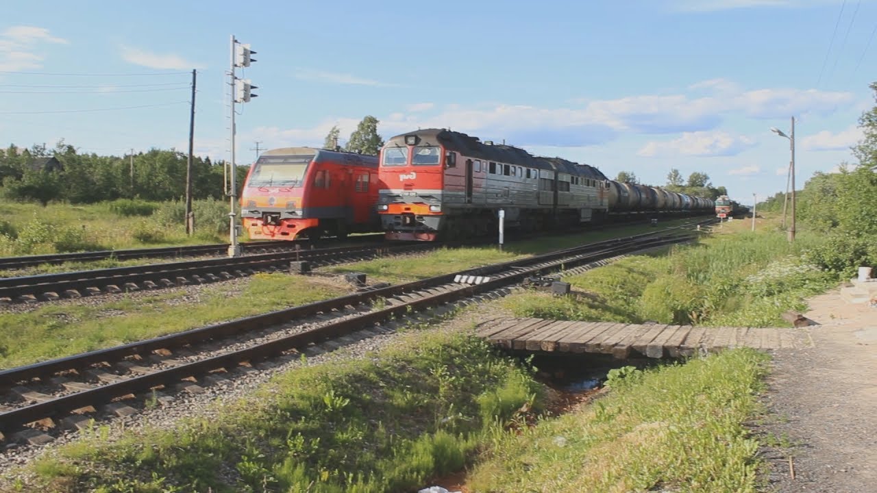 Торошино #5. Cкрещение 2-х грузовых поездов с пригородным. 2ТЭ116У-0294, ДТ1-006/002, 2М62У-0335А