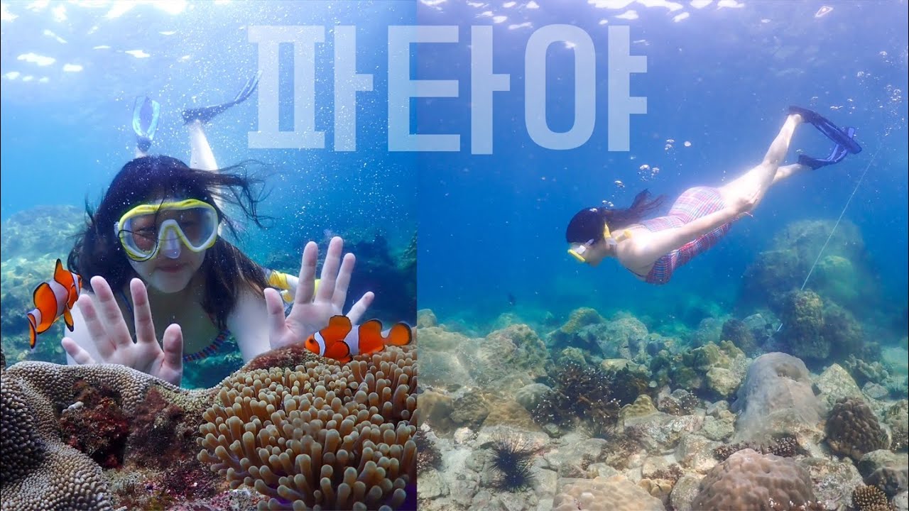 🇹🇭태국파타야브이로그 🐠니모를찾아서🥽 물놀이는 꿀잼 [니모섬투어ㅣ나이트바자ㅣ스토쿨링ㅣ프리다이빙]
