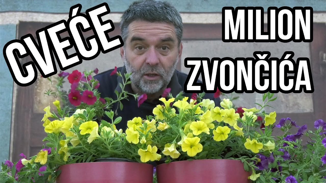 Milion zvončića