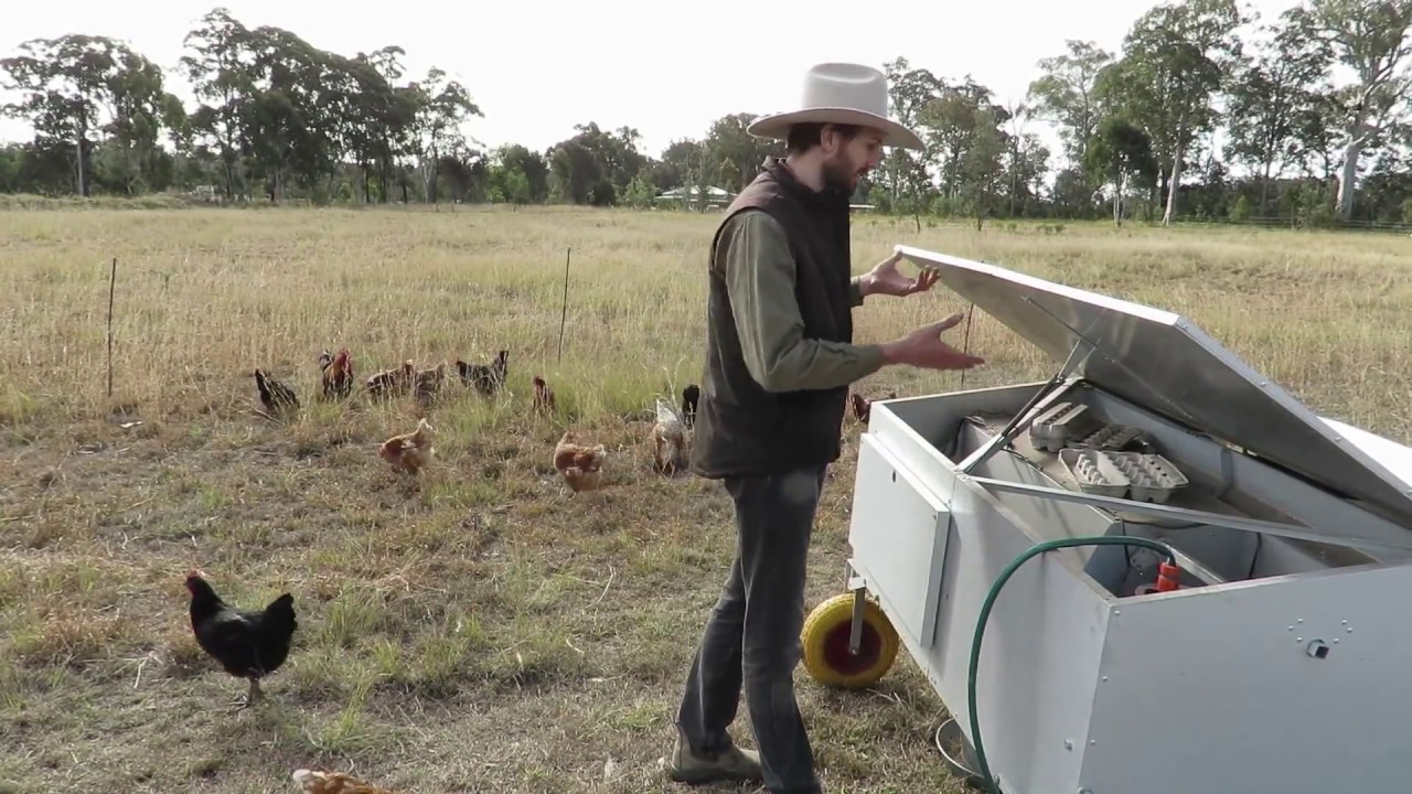 Chicken Caravan 30 (2016 model)