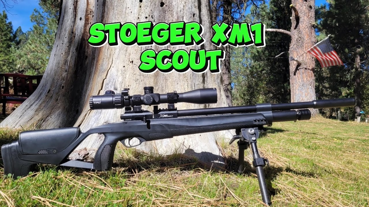 Stoeger xm1 🪖 Scout first look and some plinking #airgun #stoeger #pcp #fun