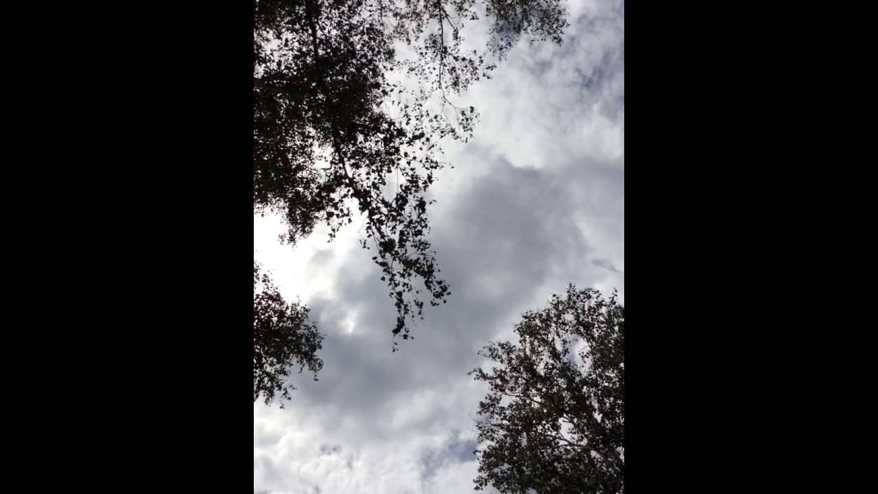 MEDITATION: Finding Quiet Way Up North - (4) Branch against Clouds