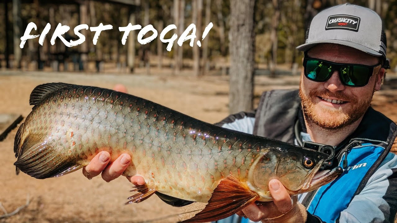 MY FIRST SARATOGA - Topwater Plastics