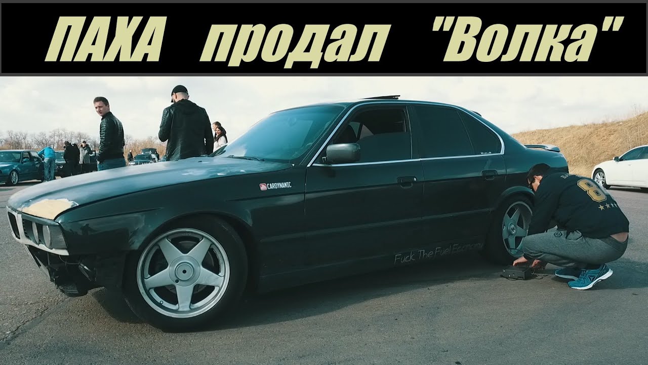 Баварский ВОЛК продан . Что случилось ?