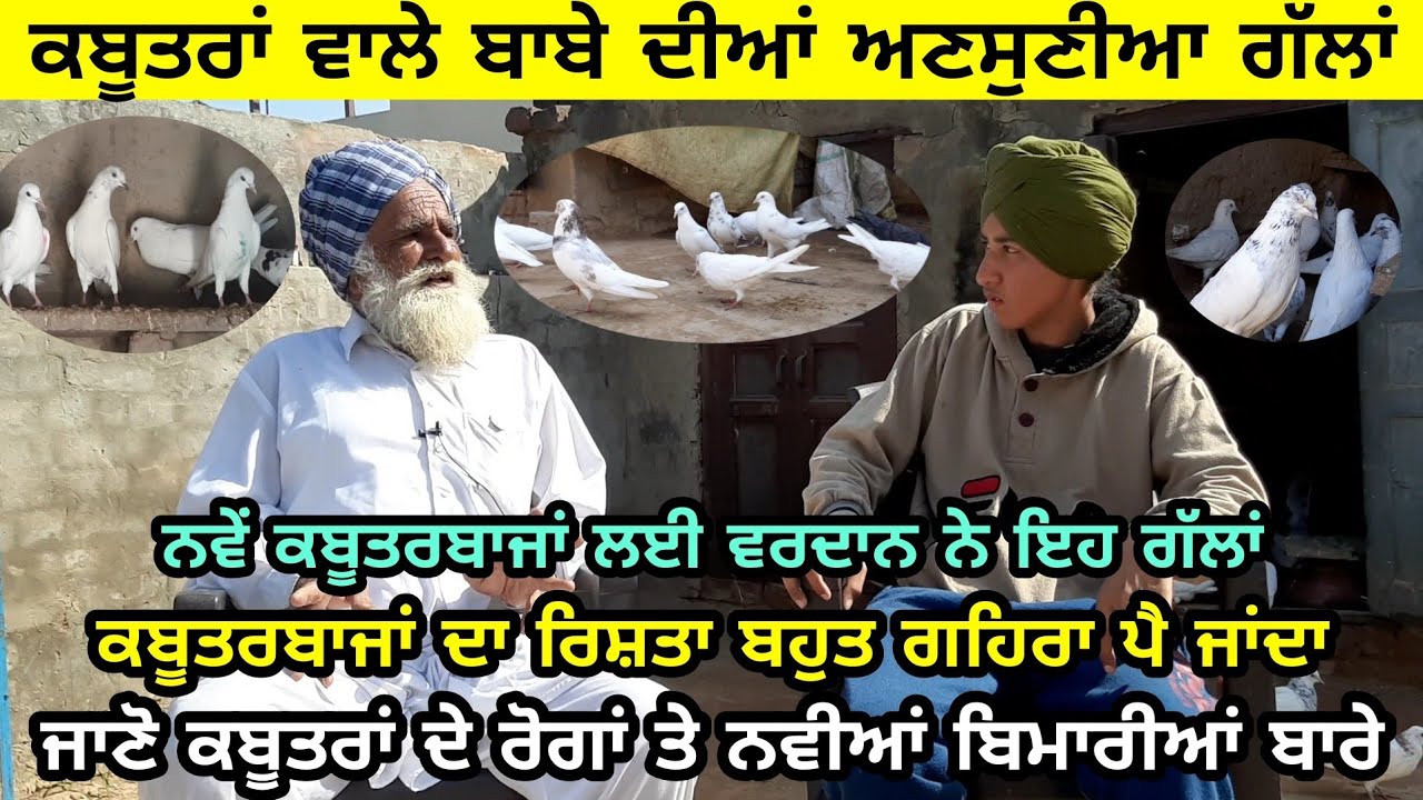 ਜਿਸਨੇ ਬਾਬੇ ਦੀਆਂ ਆਹ ਗੱਲਾਂ ਧਿਆਨ ਨਾਲ ਸੁਣਲੀਆਂ,,ਉਹ ਨੀ ਕਦੇ ਕਬੂਤਰਬਾਜੀ ਚ ਫੇਲ  ਹੁੰਦਾ | pal singh daudhar