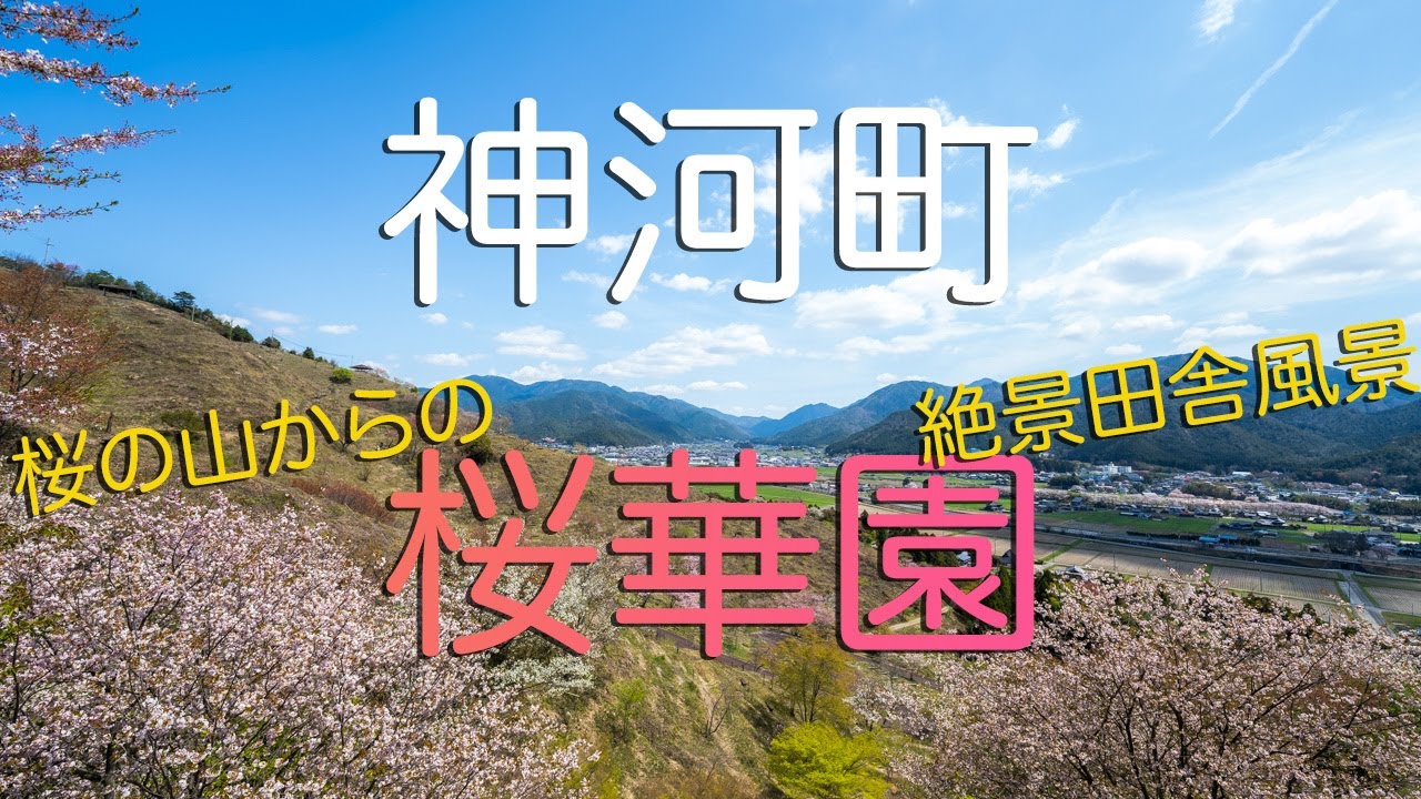 【兵庫県神河町】桜の山・桜華園の絶景田舎風景｜Sakura Mountain Ohka-En in Kamikawa Town, Hyogo Japan.