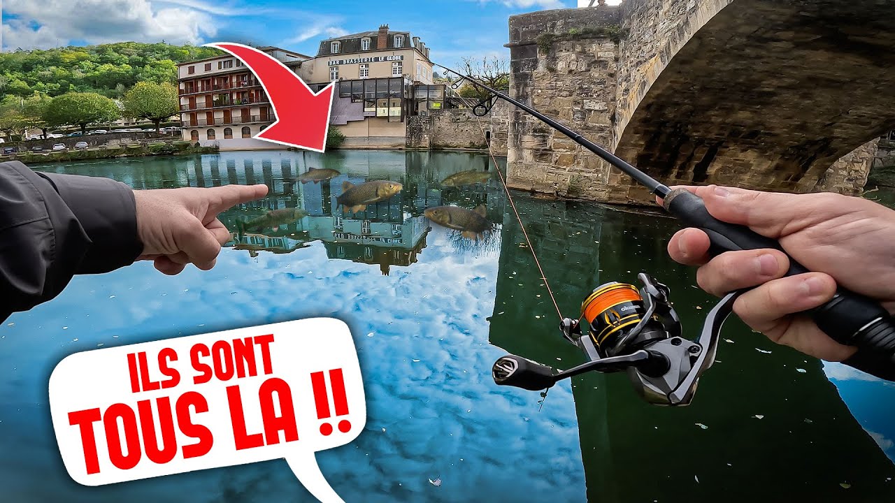 Les poissons avaient disparu mais je les retrouve tous à cet endroit !