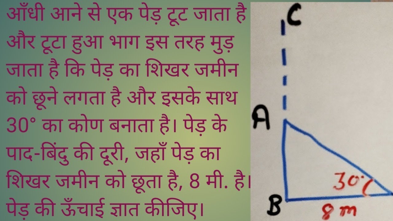 जब पेड़ का शिखर ज़मीन को छूने लगता है: आँधी से टूटा हुआ भाग का आश्चर्यजनक खुलासा